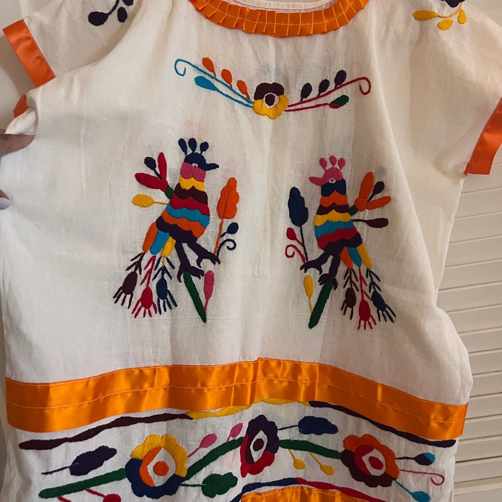 Colorful Embroidered Dress with Bird Design